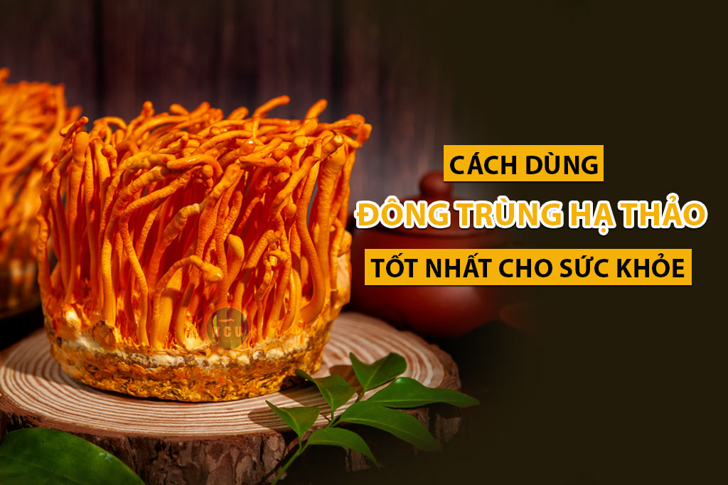 Quà Tết Thời Covid – “Khiên Chắn” Đông Trùng Hạ Thảo Lên Ngôi, Chào Xuân Mới Khởi Sắc