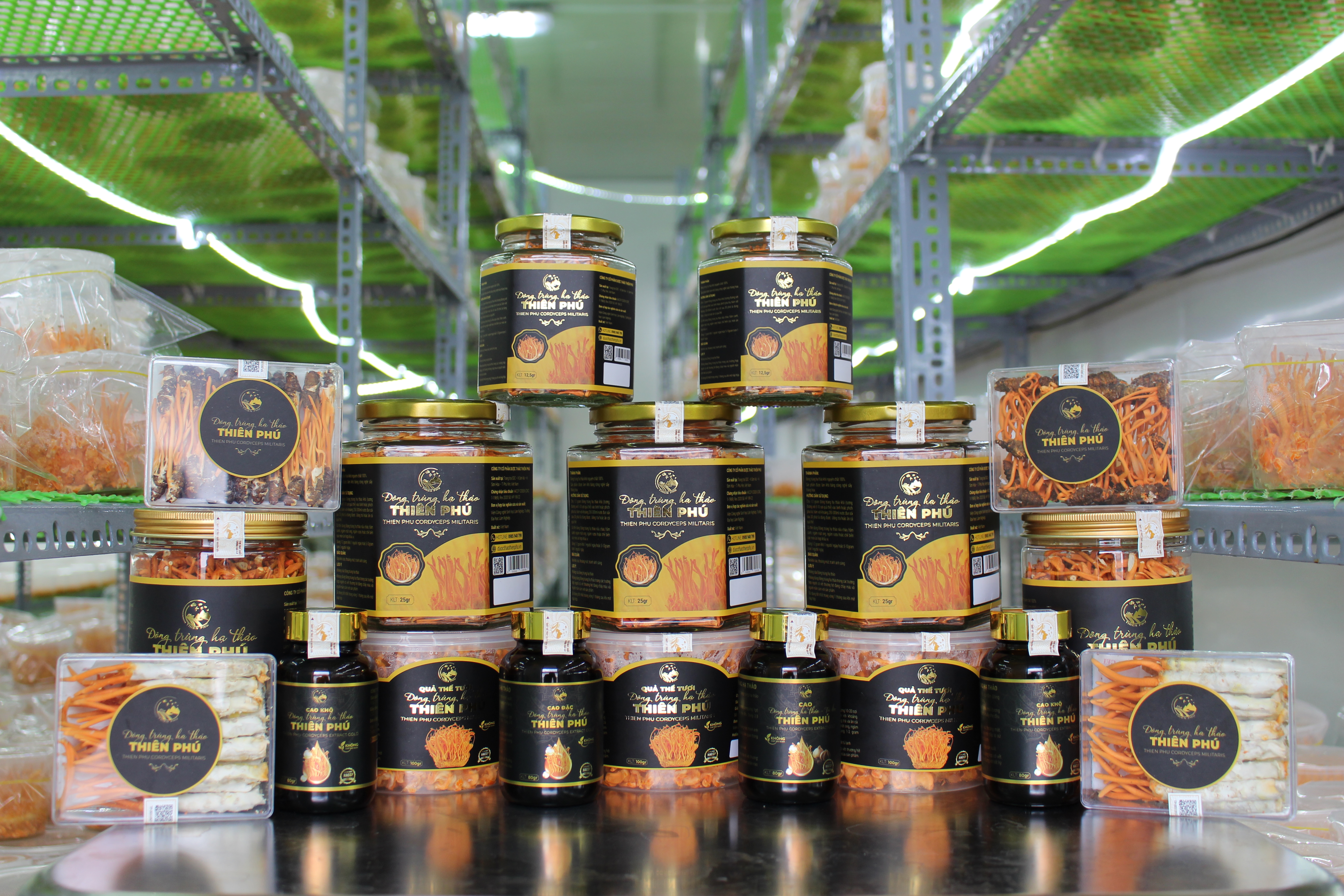 Giá đông trùng hạ thảo khô có đắt không? Nên mua đông trùng hạ thảo tươi hay khô?