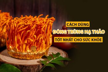 Quà Tết Thời Covid – “Khiên Chắn” Đông Trùng Hạ Thảo Lên Ngôi, Chào Xuân Mới Khởi Sắc