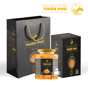 Đông trùng hạ thảo sánh ngang “sâu vàng Tây Tạng”, giá thành song hành chất lượng