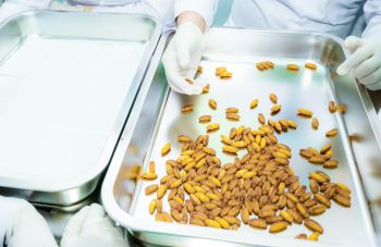 Chi nhánh tại TP.HCM