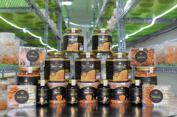 Giá đông trùng hạ thảo khô có đắt không? Nên mua đông trùng hạ thảo tươi hay khô?