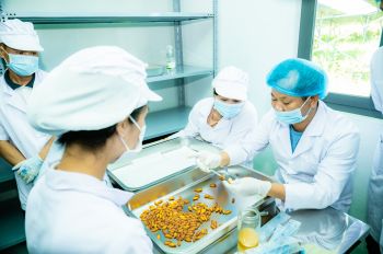 Đông Trùng Hạ Thảo với Bệnh Tim Mạch – Hỗ Trợ Cải Thiện