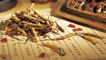 Ghi nhận đánh giá ĐTHT từ các chuyên gia